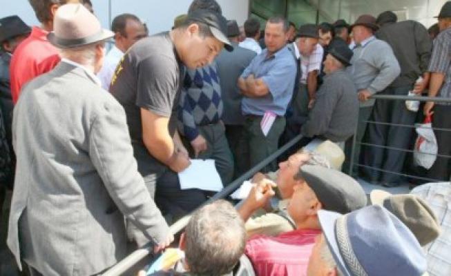 APIA: Subvenţia la hectar pe 2012, 106 euro